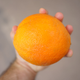 Illustration for article titled This video of a man eating an orange like an apple has piqued our rage and bafflement